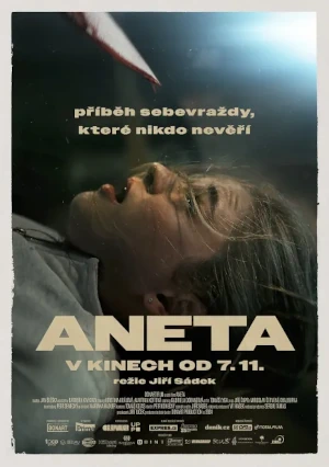 Plakát filmu Aneta