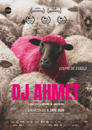 Plakát filmu DJ AHMET